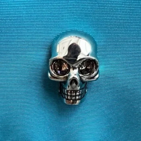 BRAND NEW Alexander McQueen Crossbody Bag NWT - Picture 6 of 6